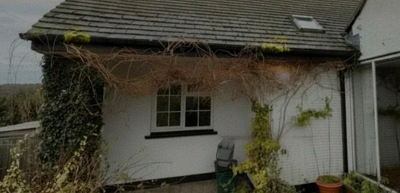 Blocked gutters and gutter overspill on a Devon holiday cottage